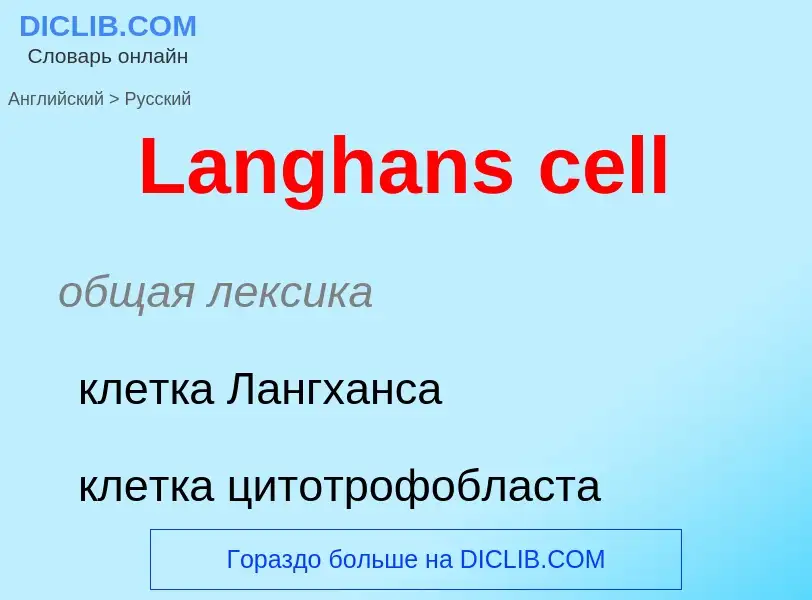 Как переводится Langhans cell на Русский язык