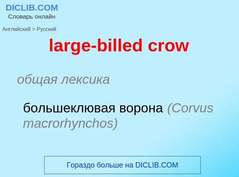 Übersetzung von &#39large-billed crow&#39 in Russisch