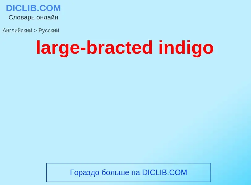 Μετάφραση του &#39large-bracted indigo&#39 σε Ρωσικά