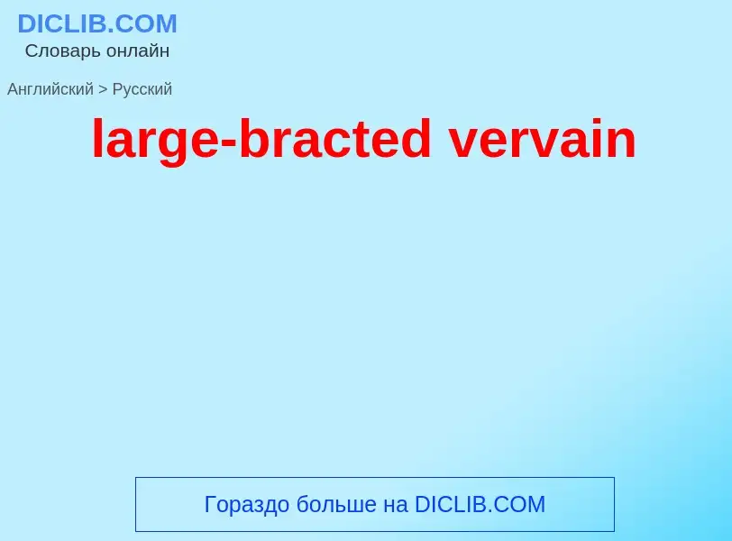 ¿Cómo se dice large-bracted vervain en Ruso? Traducción de &#39large-bracted vervain&#39 al Ruso