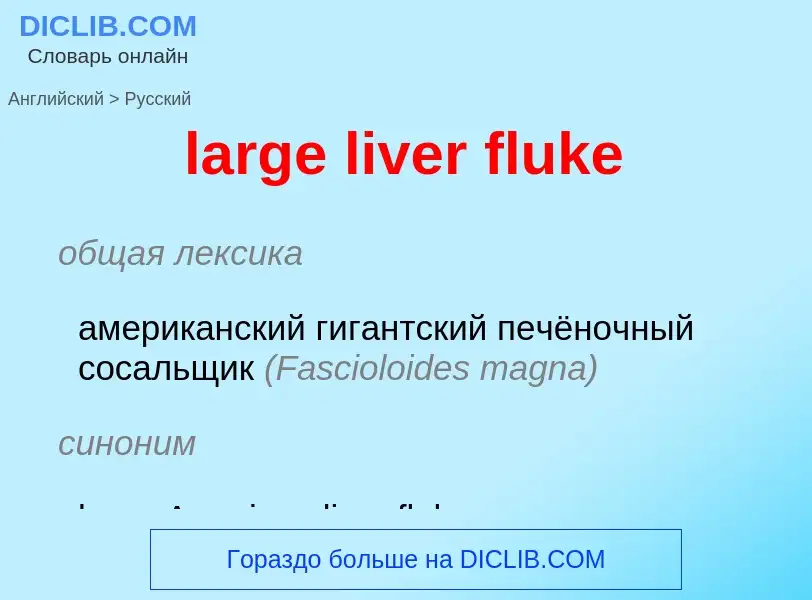 Traduzione di &#39large liver fluke&#39 in Russo