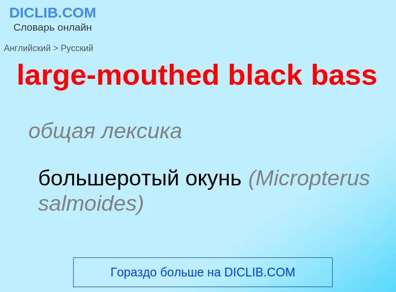 Как переводится large-mouthed black bass на Русский язык