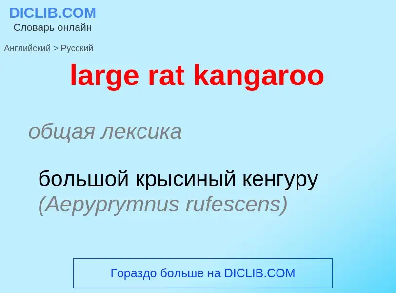 Как переводится large rat kangaroo на Русский язык