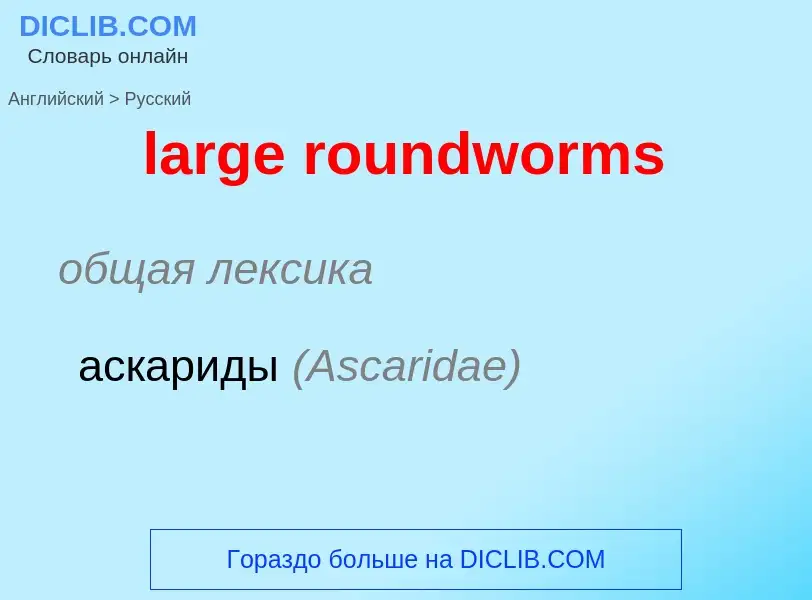 ¿Cómo se dice large roundworms en Ruso? Traducción de &#39large roundworms&#39 al Ruso