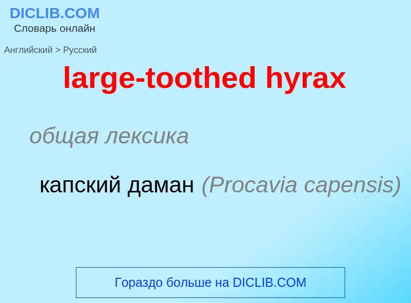 Как переводится large-toothed hyrax на Русский язык