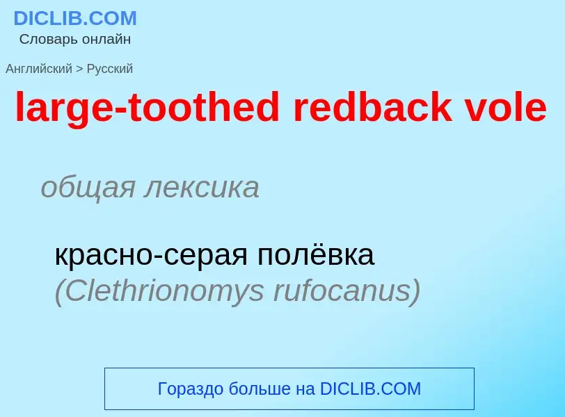 Vertaling van &#39large-toothed redback vole&#39 naar Russisch