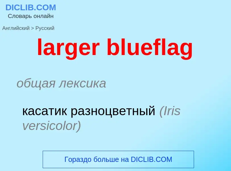 Übersetzung von &#39larger blueflag&#39 in Russisch