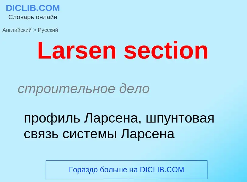 Как переводится Larsen section на Русский язык