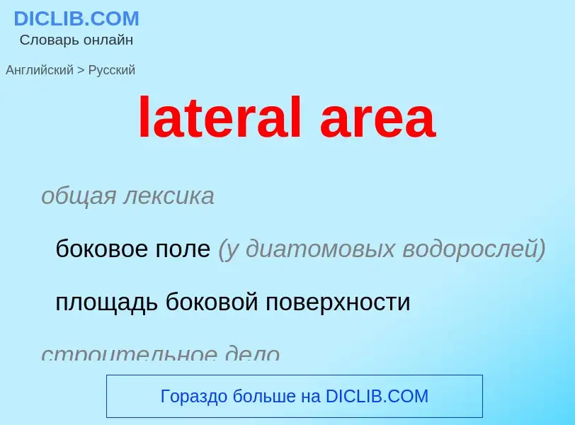 Как переводится lateral area на Русский язык