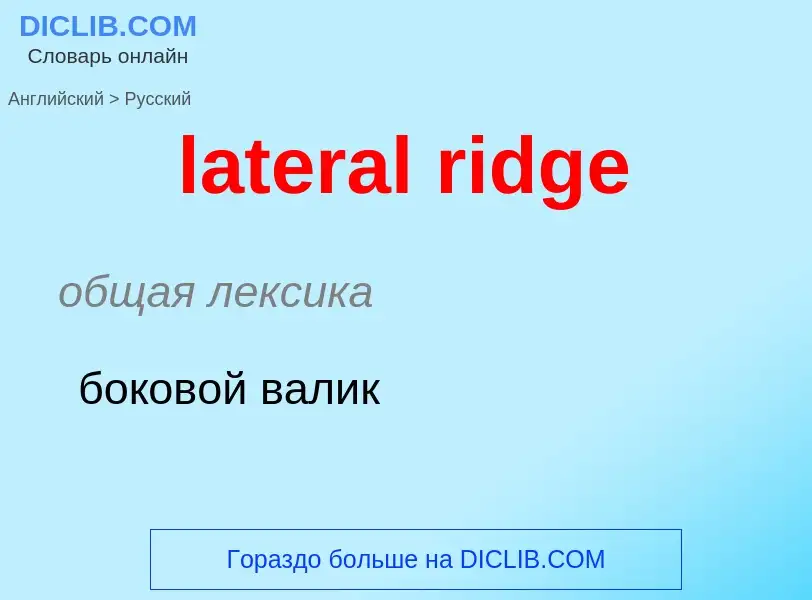 Как переводится lateral ridge на Русский язык