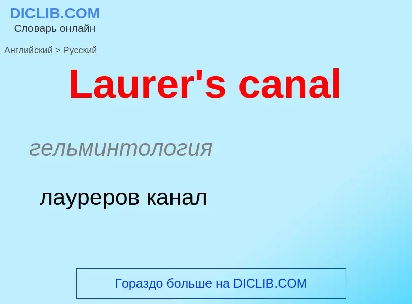 Traduzione di &#39Laurer's canal&#39 in Russo