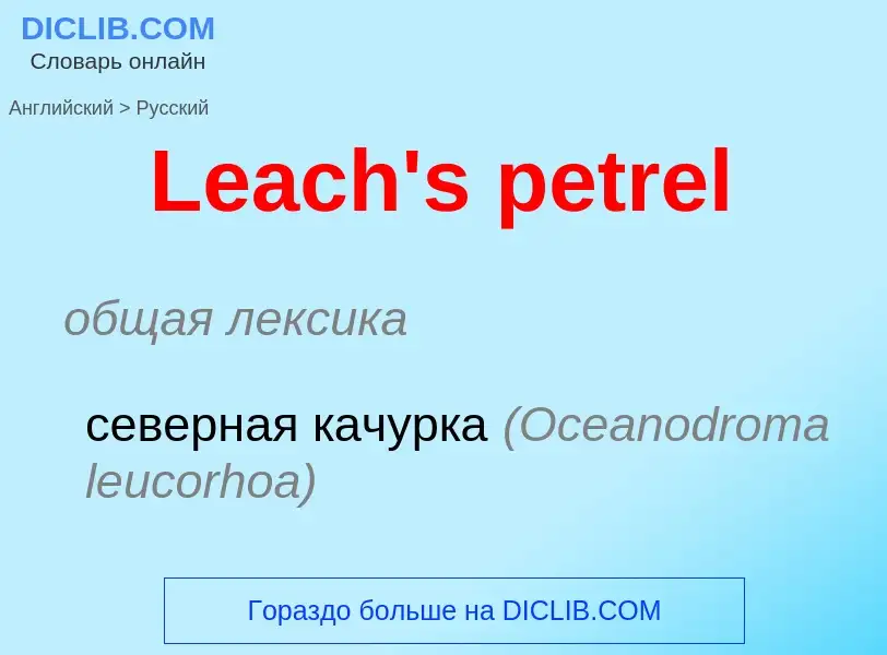 Traduzione di &#39Leach's petrel&#39 in Russo