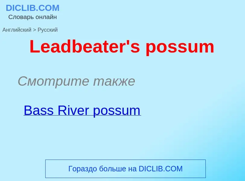 Traduzione di &#39Leadbeater's possum&#39 in Russo