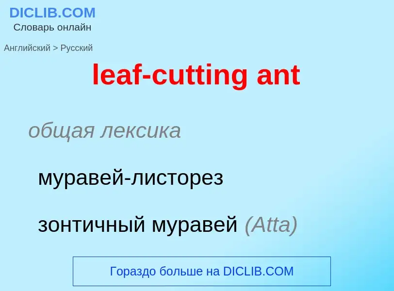 Μετάφραση του &#39leaf-cutting ant&#39 σε Ρωσικά