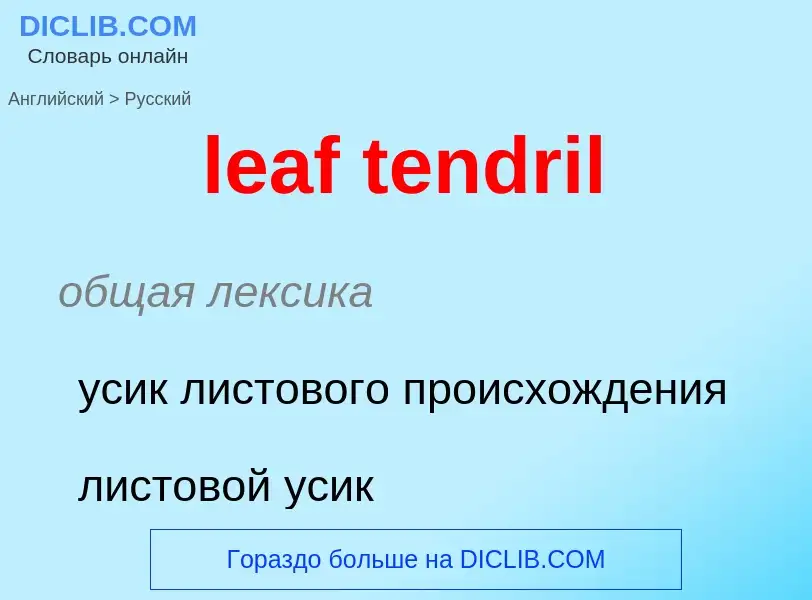 Как переводится leaf tendril на Русский язык