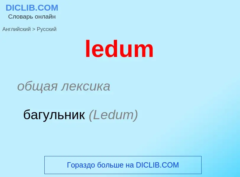 Как переводится ledum на Русский язык