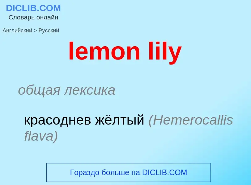 Как переводится lemon lily на Русский язык