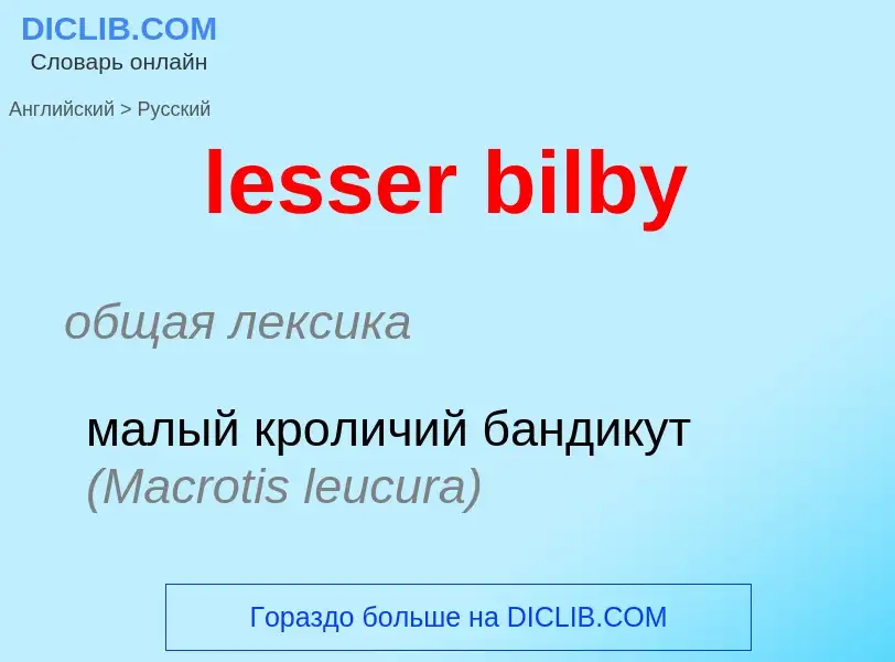 Как переводится lesser bilby на Русский язык