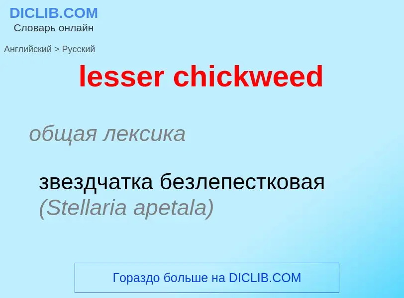 Vertaling van &#39lesser chickweed&#39 naar Russisch