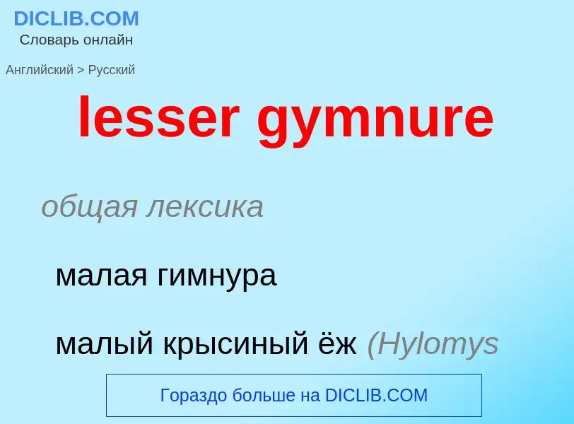 Como se diz lesser gymnure em Russo? Tradução de &#39lesser gymnure&#39 em Russo