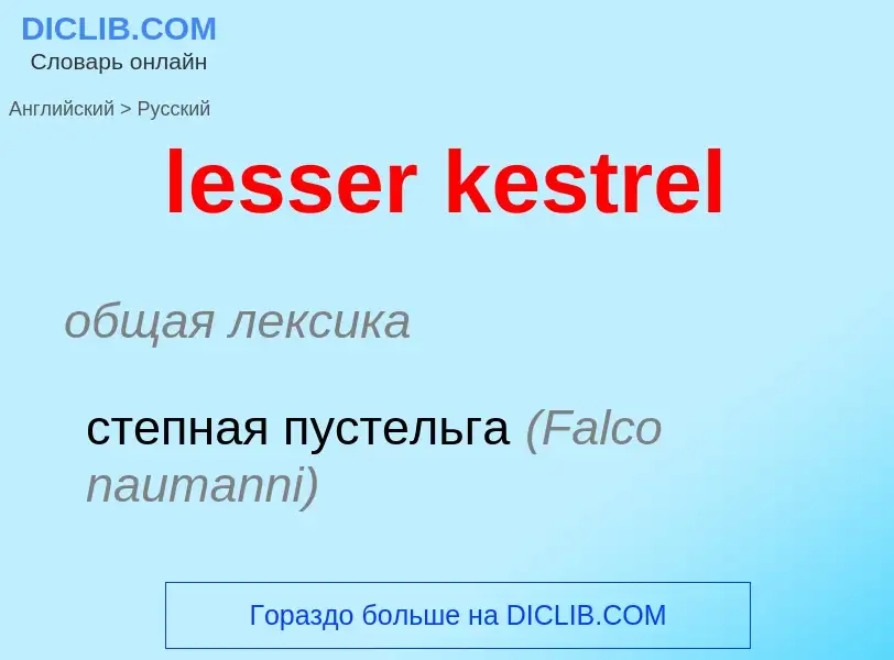 ¿Cómo se dice lesser kestrel en Ruso? Traducción de &#39lesser kestrel&#39 al Ruso