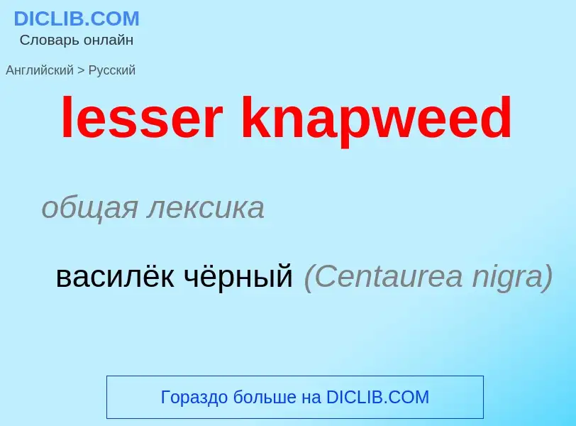 Как переводится lesser knapweed на Русский язык