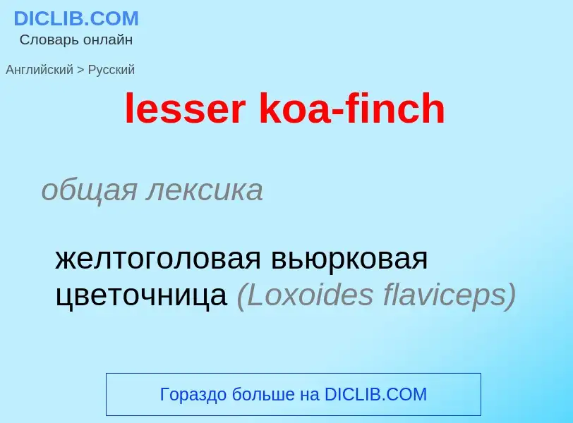 Μετάφραση του &#39lesser koa-finch&#39 σε Ρωσικά