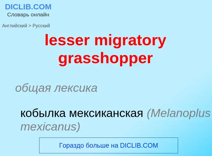 Как переводится lesser migratory grasshopper на Русский язык