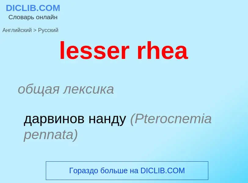 Como se diz lesser rhea em Russo? Tradução de &#39lesser rhea&#39 em Russo