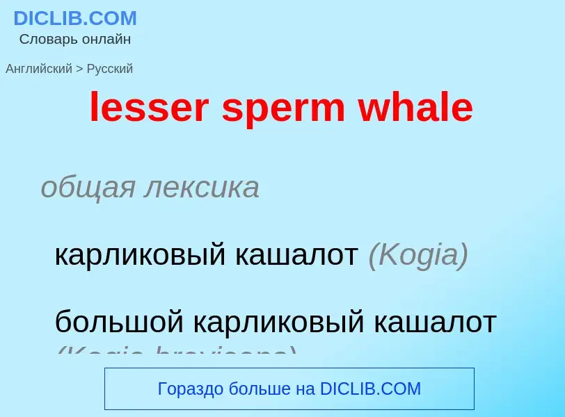 Как переводится lesser sperm whale на Русский язык