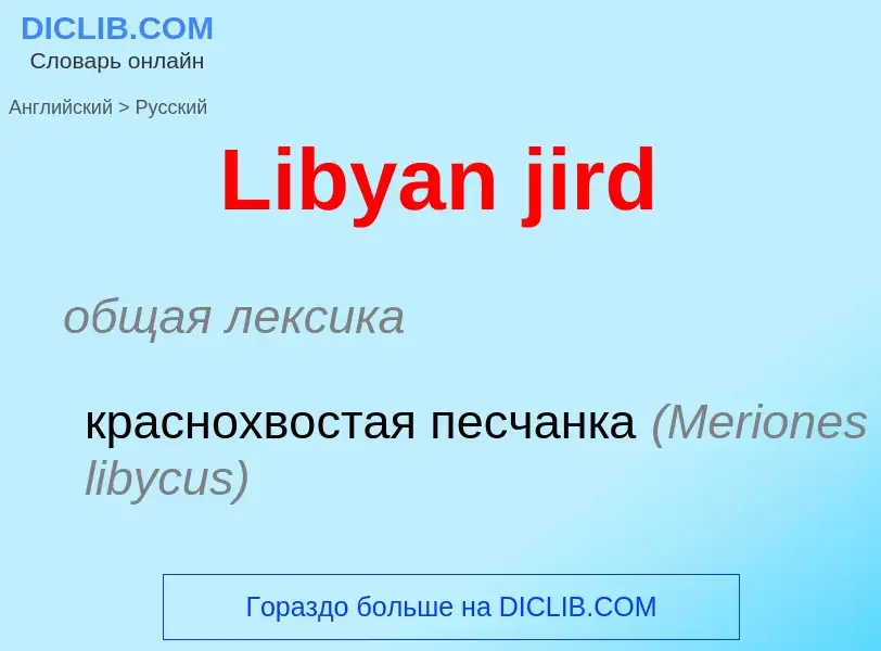 ¿Cómo se dice Libyan jird en Ruso? Traducción de &#39Libyan jird&#39 al Ruso