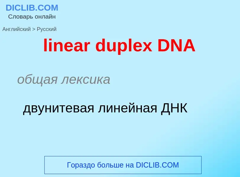 Traduzione di &#39linear duplex DNA&#39 in Russo