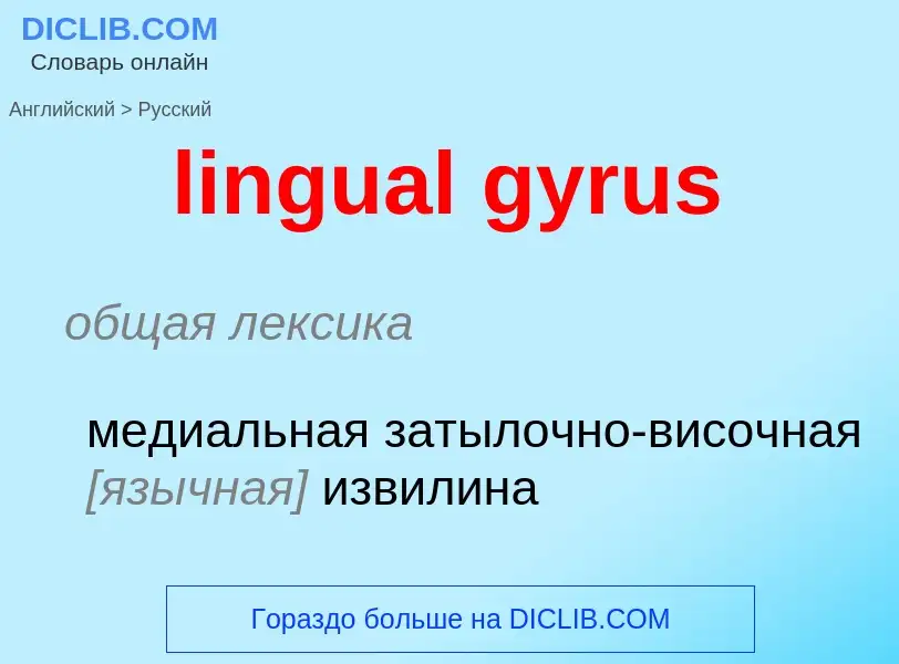 Μετάφραση του &#39lingual gyrus&#39 σε Ρωσικά