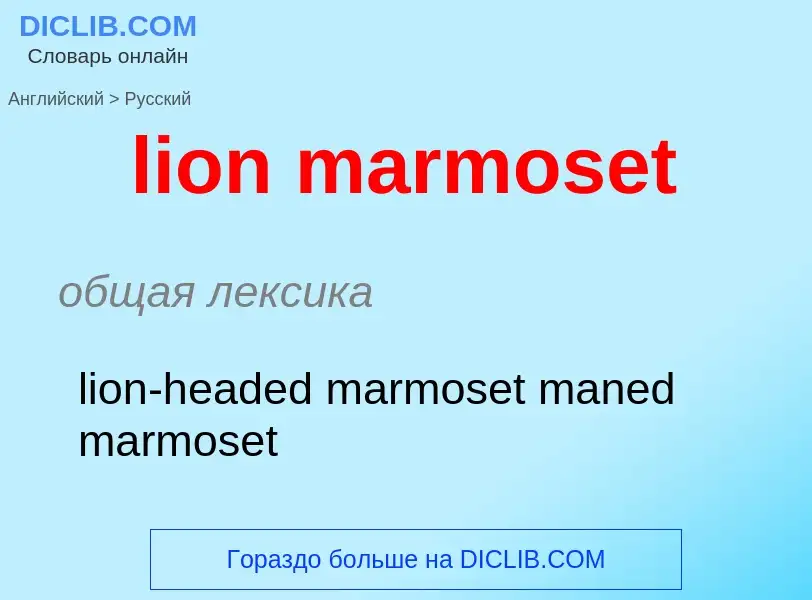 Как переводится lion marmoset на Русский язык