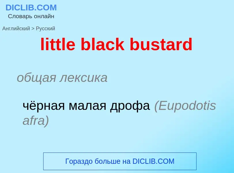 What is the الروسية for little black bustard? Translation of &#39little black bustard&#39 to الروسية