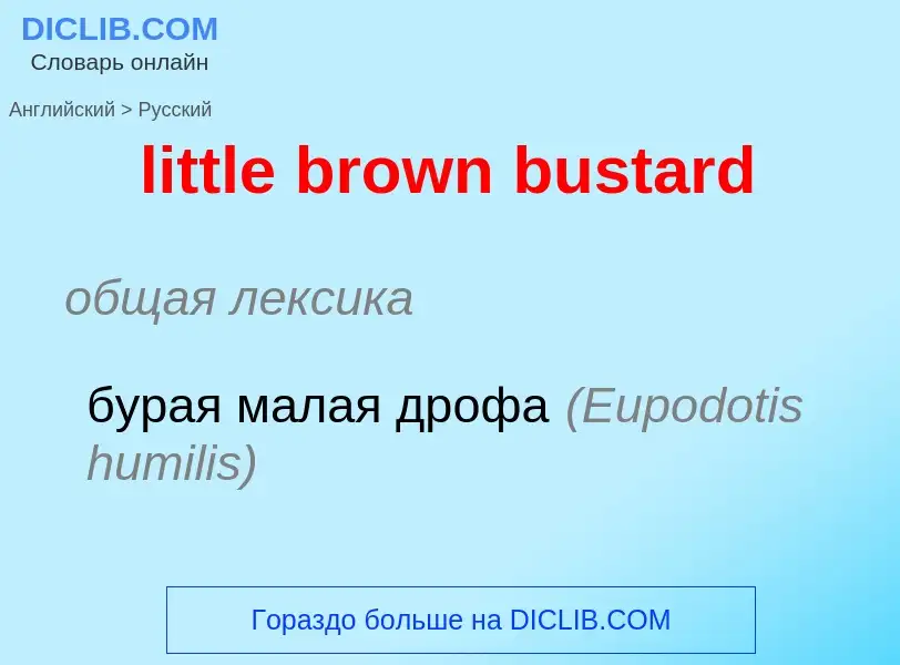 Как переводится little brown bustard на Русский язык