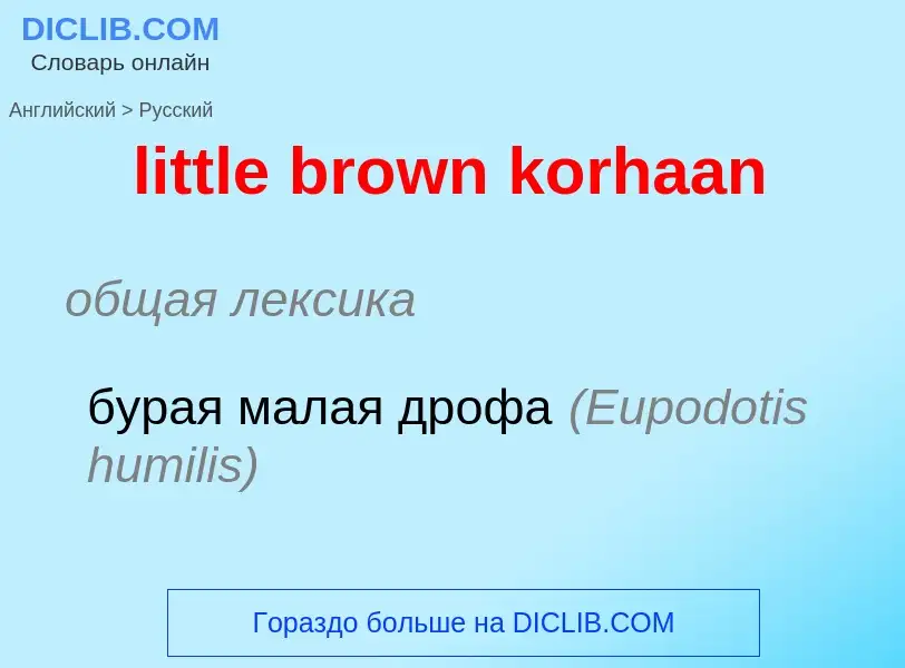 Как переводится little brown korhaan на Русский язык