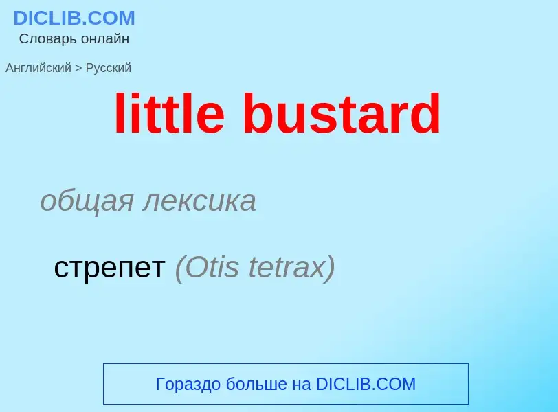 What is the Russian for little bustard? Translation of &#39little bustard&#39 to Russian