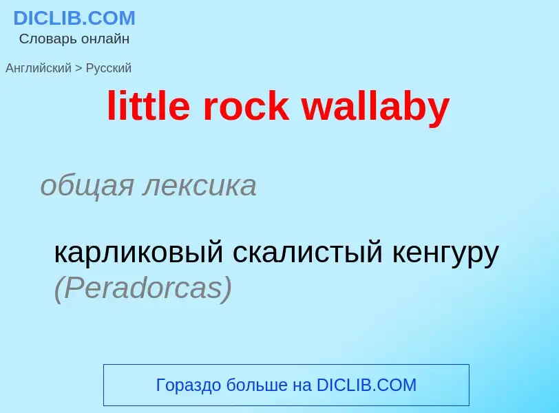 What is the Russian for little rock wallaby? Translation of &#39little rock wallaby&#39 to Russian