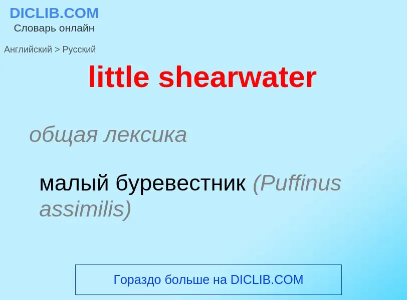 ¿Cómo se dice little shearwater en Ruso? Traducción de &#39little shearwater&#39 al Ruso