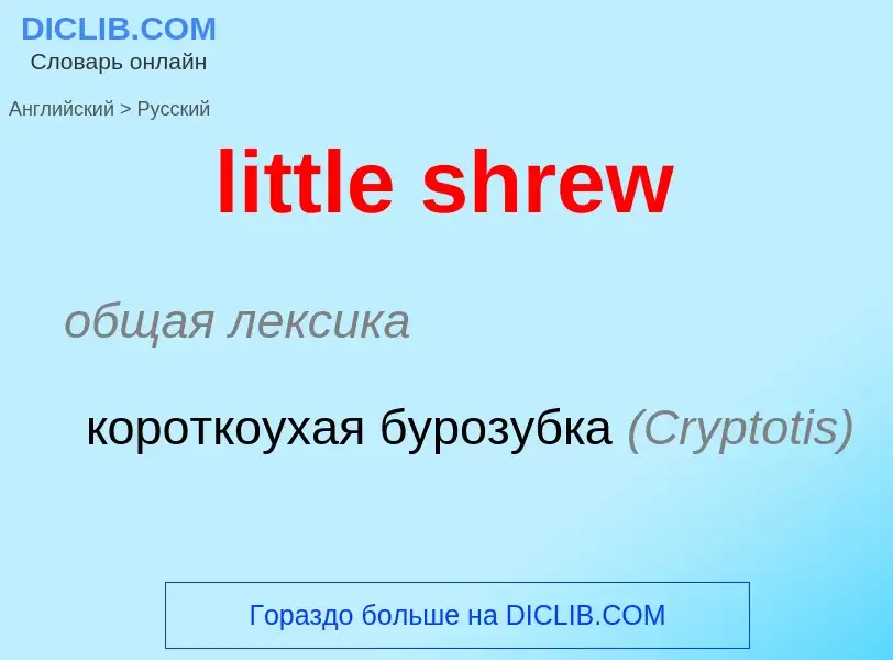 Μετάφραση του &#39little shrew&#39 σε Ρωσικά