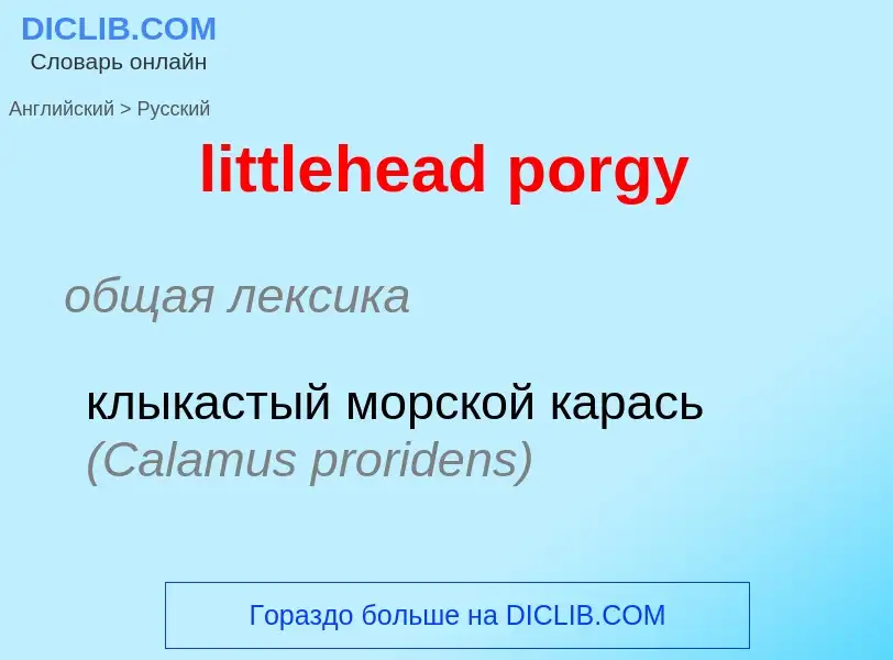 Как переводится littlehead porgy на Русский язык