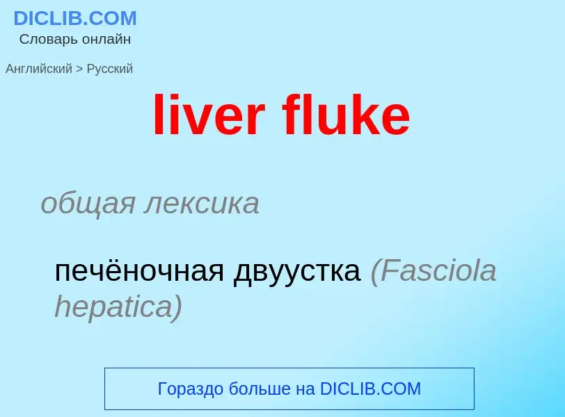 Traduzione di &#39liver fluke&#39 in Russo