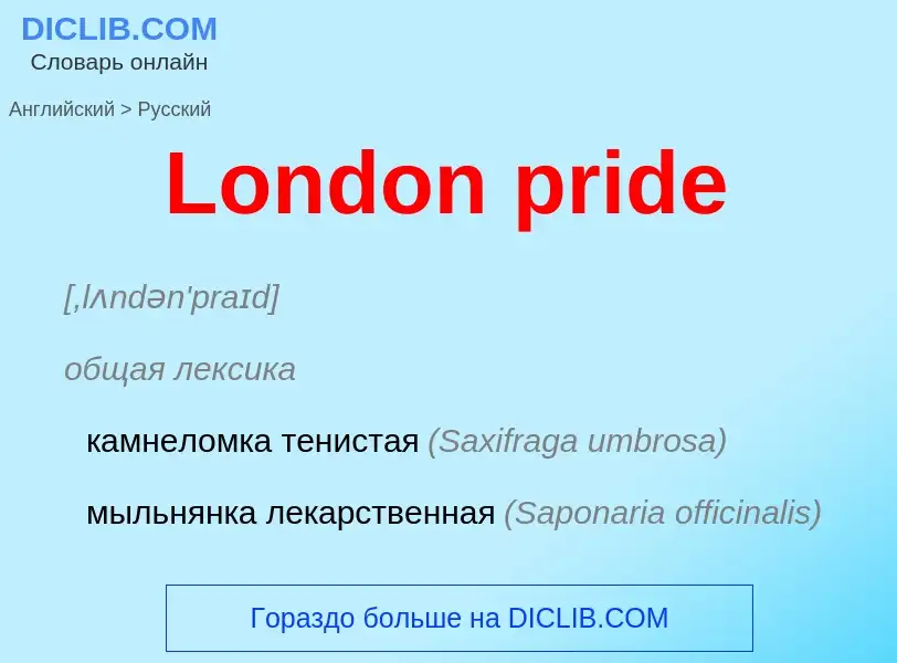 Как переводится London pride на Русский язык