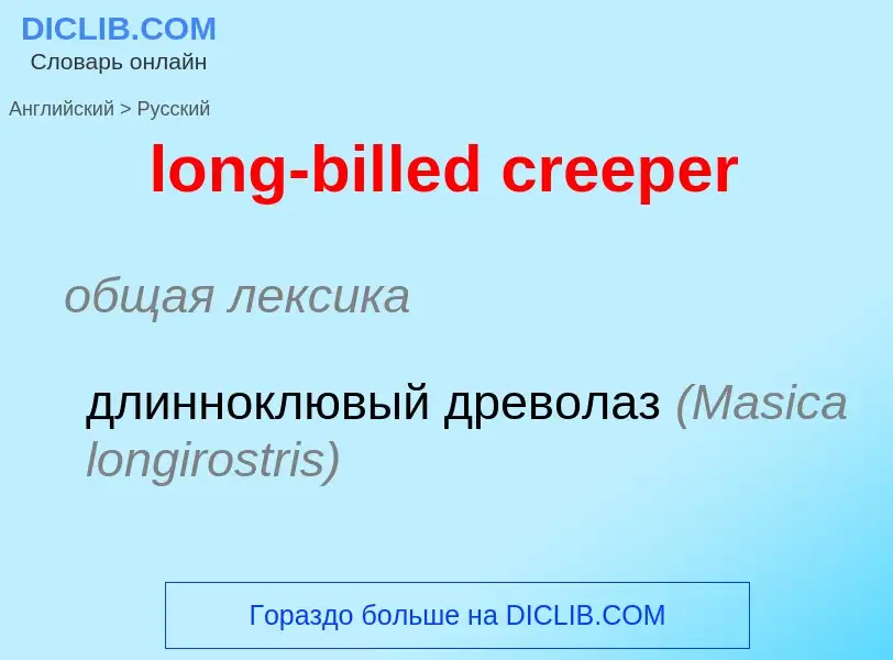 Traduction de &#39long-billed creeper&#39 en Russe