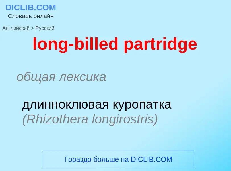 What is the Russian for long-billed partridge? Translation of &#39long-billed partridge&#39 to Russi