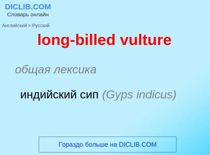 Como se diz long-billed vulture em Russo? Tradução de &#39long-billed vulture&#39 em Russo