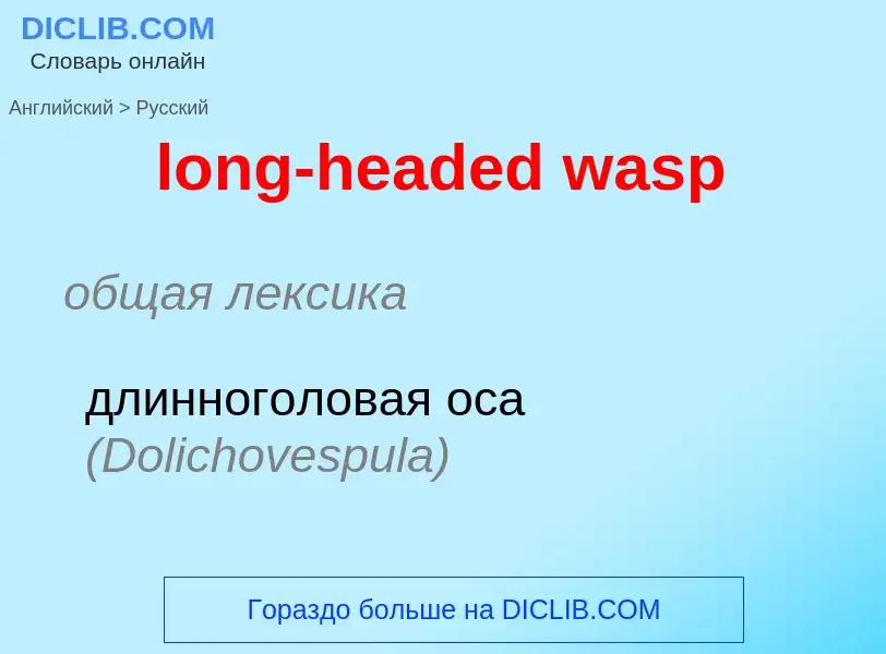 What is the Russian for long-headed wasp? Translation of &#39long-headed wasp&#39 to Russian