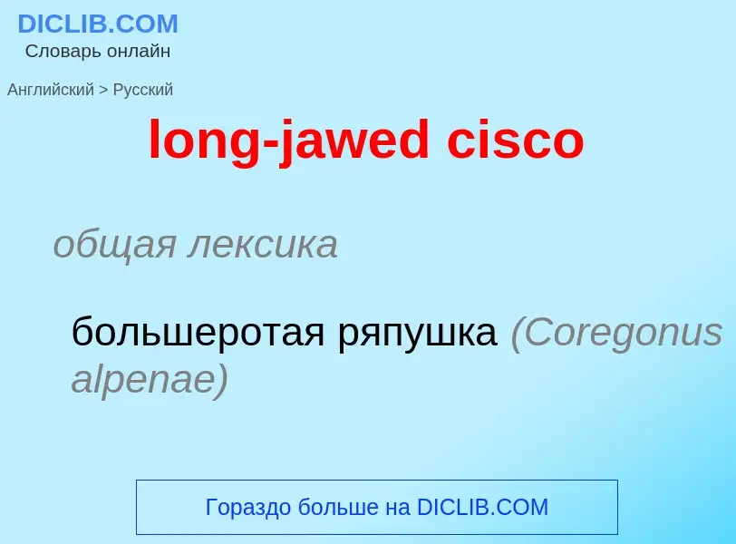 ¿Cómo se dice long-jawed cisco en Ruso? Traducción de &#39long-jawed cisco&#39 al Ruso