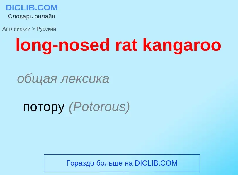 Как переводится long-nosed rat kangaroo на Русский язык